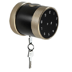 Khóa vân tay PHGlock FP8193G