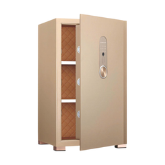 Két sắt Kassler KL-65H8 Gold Sand