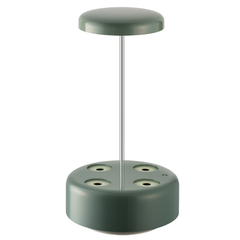 Máy trồng hoa thủy sinh Wells Florin