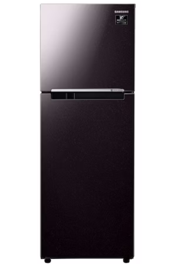 Tủ lạnh Samsung RT22M4032BY/SV Inverter 236 lít