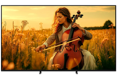 Tivi Sony K-65XR50 Mini LED BRAVIA 5 65inch