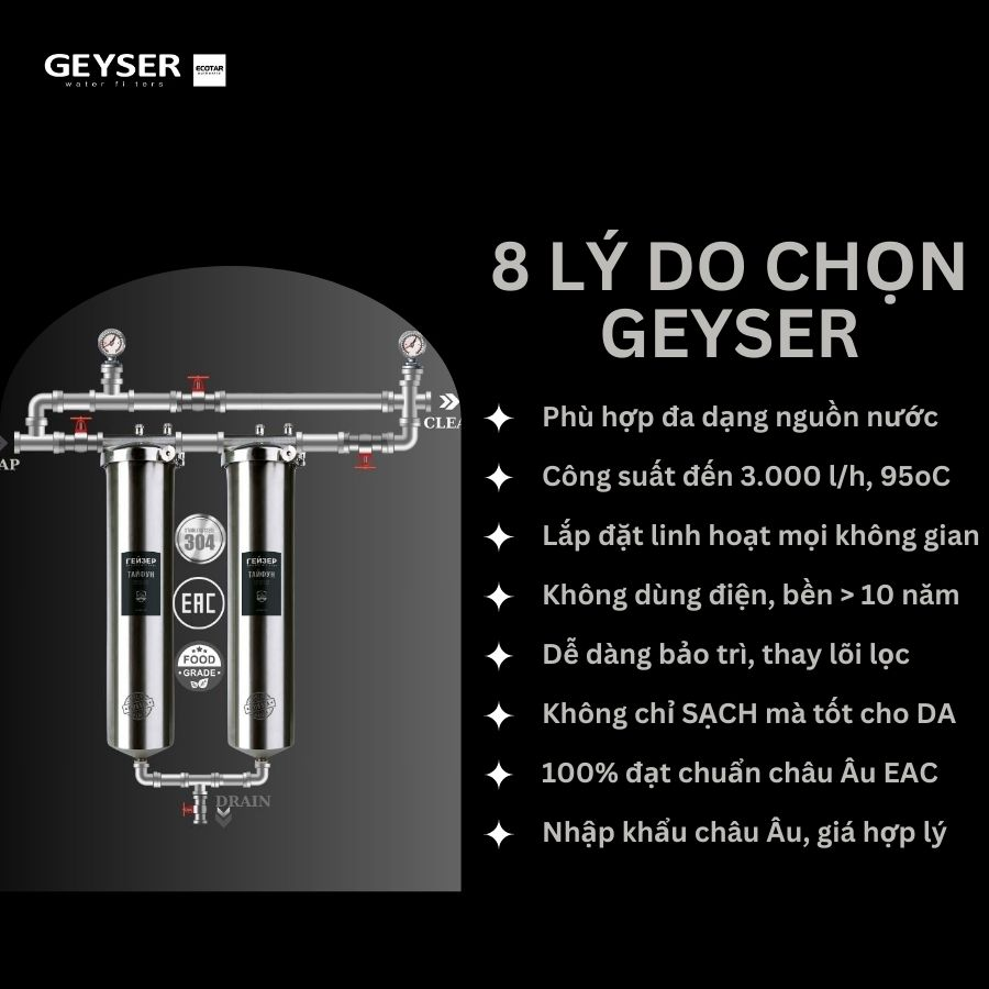 Hệ thống lọc tổng đầu nguồn Geyser Ecotar 2F