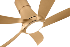 Quạt trần Asia Lighting QT14-DV 5 cánh màu đồng vàng