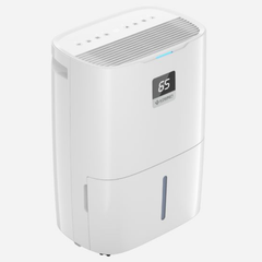 Máy hút ẩm Kosmen KM-25N