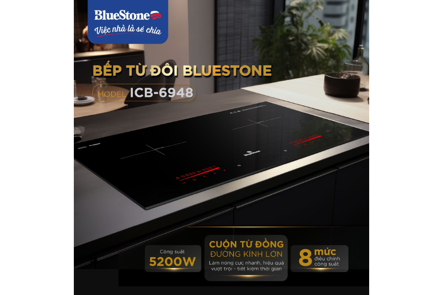 Bếp từ BlueStone ICB-6948