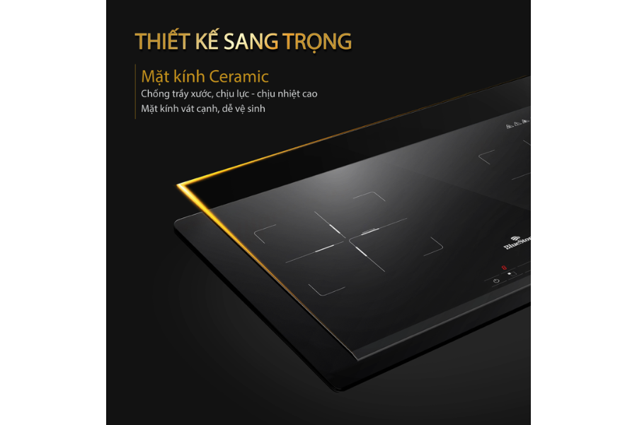 Bếp từ BlueStone ICB-6819