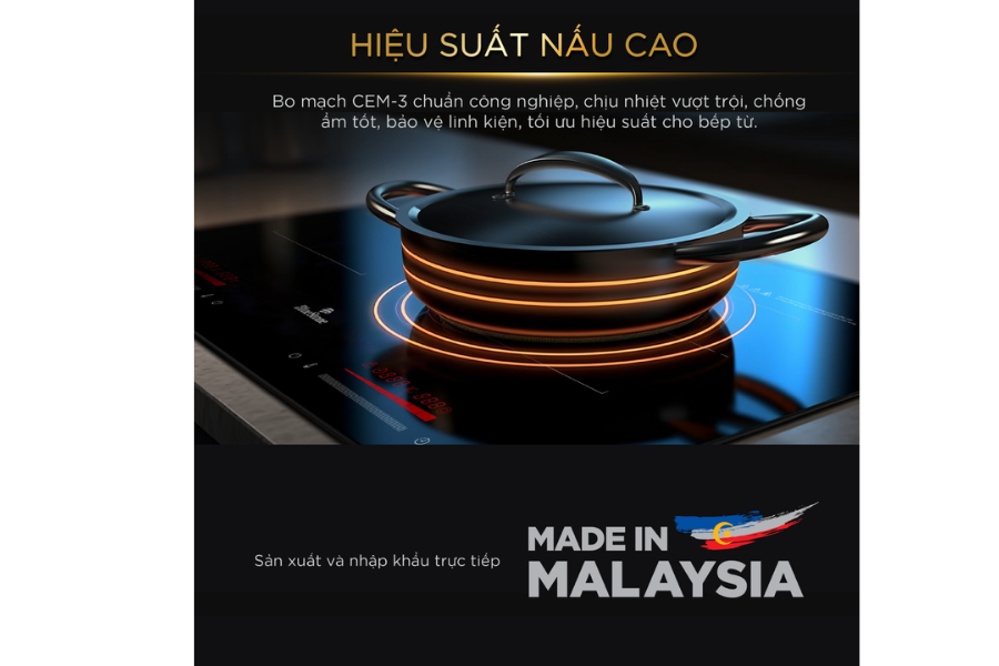 Bếp từ BlueStone ICB-6917