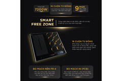 Bếp từ BlueStone ICB-6869