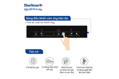 Bếp từ BlueStone ICB-6818