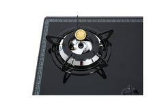 Bếp gas âm Rinnai RVB-2BG(B)N