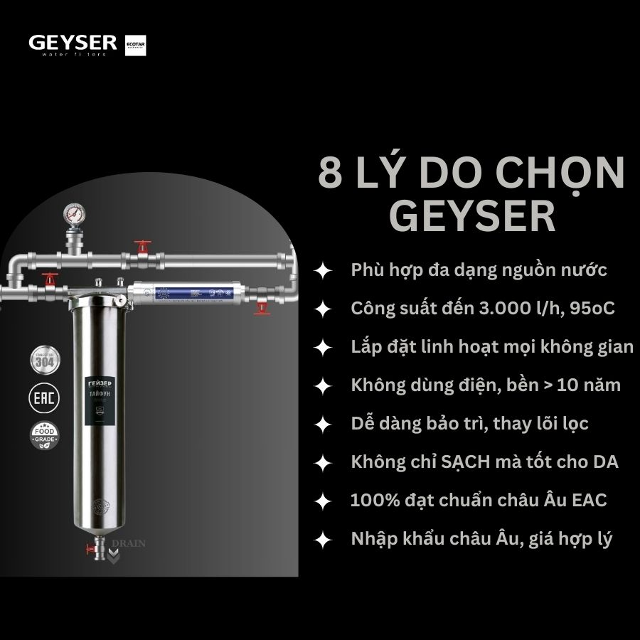 Hệ thống lọc tổng đầu nguồn Geyser Ecotar 1F1A
