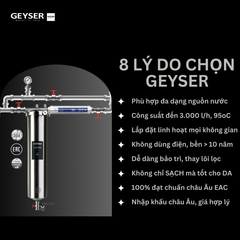 Hệ thống lọc tổng đầu nguồn Geyser Ecotar 1F1A