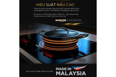 Bếp từ BlueStone ICB-6948