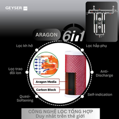 Hệ thống lọc tổng đầu nguồn Geyser Ecotar 2F