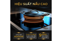 Bếp từ BlueStone ICB-6819