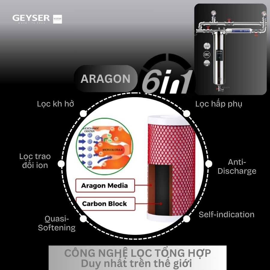 Hệ thống lọc tổng đầu nguồn Geyser Ecotar 1F1A