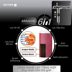 Hệ thống lọc tổng đầu nguồn Geyser Ecotar 1F1A