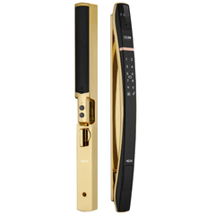 Khóa điện tử Hexa P300-Pro