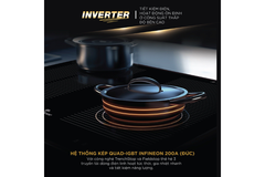 Bếp từ BlueStone ICB-6869