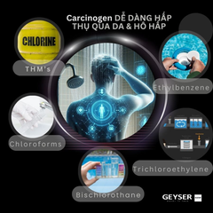 Hệ thống lọc tổng đầu nguồn Geyser Ecotar 2F2A