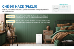 Máy lọc không khí Daikin MC30YVM7