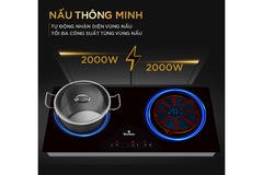 Bếp từ BlueStone ICB-6819