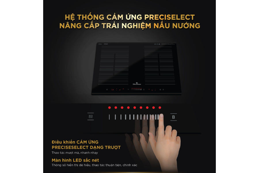 Bếp từ BlueStone ICB-6869