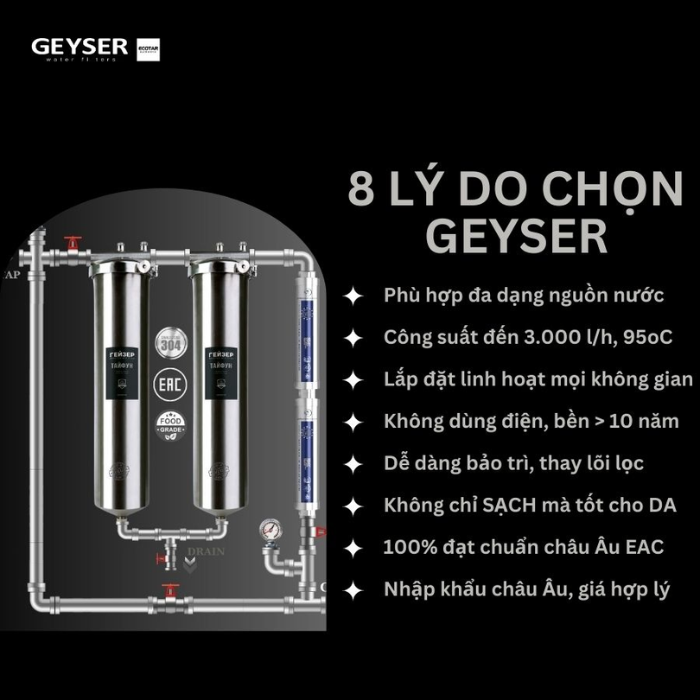 Hệ thống lọc tổng đầu nguồn Geyser Ecotar 2F2A