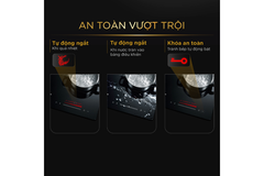 Bếp từ BlueStone ICB-6917