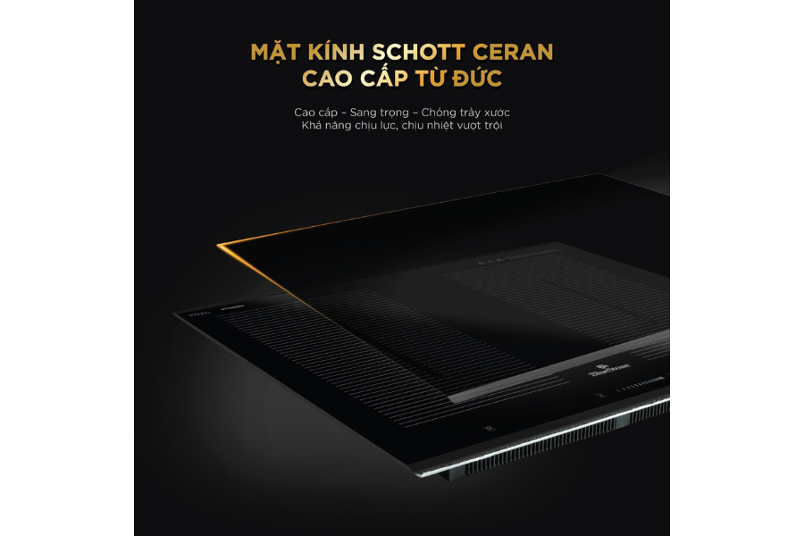 Bếp từ BlueStone ICB-6869