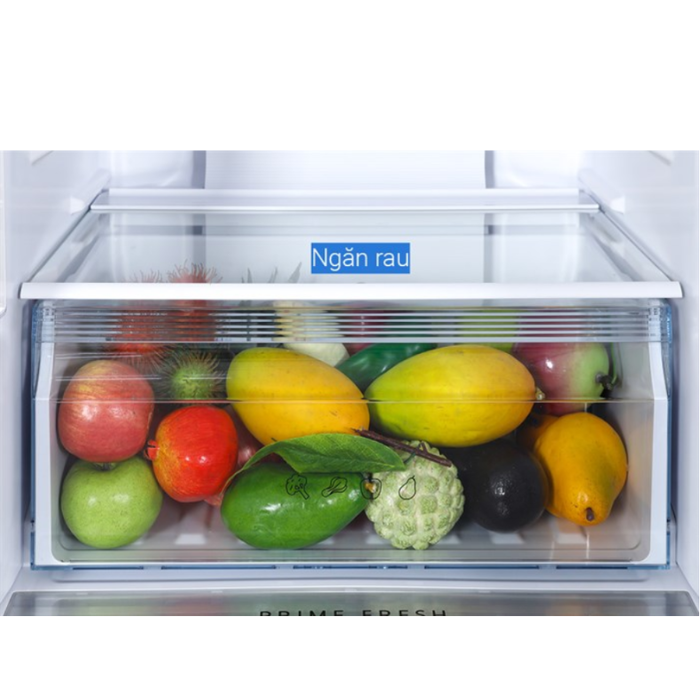 Tủ lạnh Panasonic NR-BV281BGMV ngăn đá dưới 536 lít