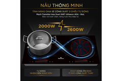 Bếp từ BlueStone ICB-6917