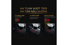 Bếp từ BlueStone ICB-6948