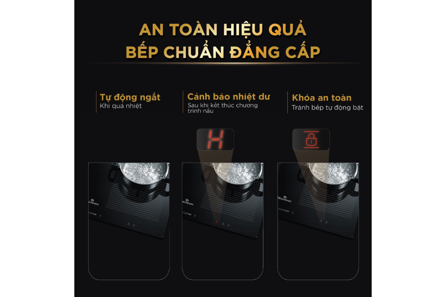 Bếp từ BlueStone ICB-6869