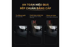 Bếp từ BlueStone ICB-6869