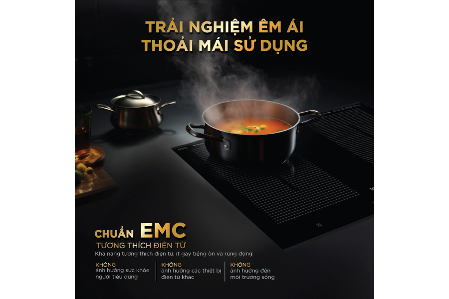 Bếp từ BlueStone ICB-6869