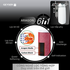 Hệ thống lọc tổng đầu nguồn Geyser Ecotar 1F20S