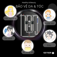 Hệ thống lọc tổng đầu nguồn Geyser Ecotar 2F1A