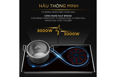 Bếp từ BlueStone ICB-6948