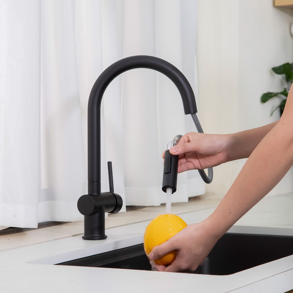 Vòi rửa bát Kluger KLF0008SB