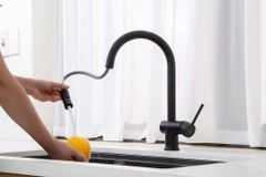 Vòi rửa bát Kluger KLF0008SB