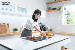 Vòi rửa chén Nobili BLUES NB188