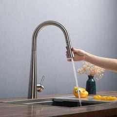 Vòi rửa bát Kluger KLF0009S