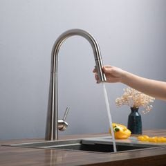 Vòi rửa bát Kluger KLF0009S