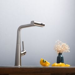 Vòi rửa chén Kluger KLF0018S