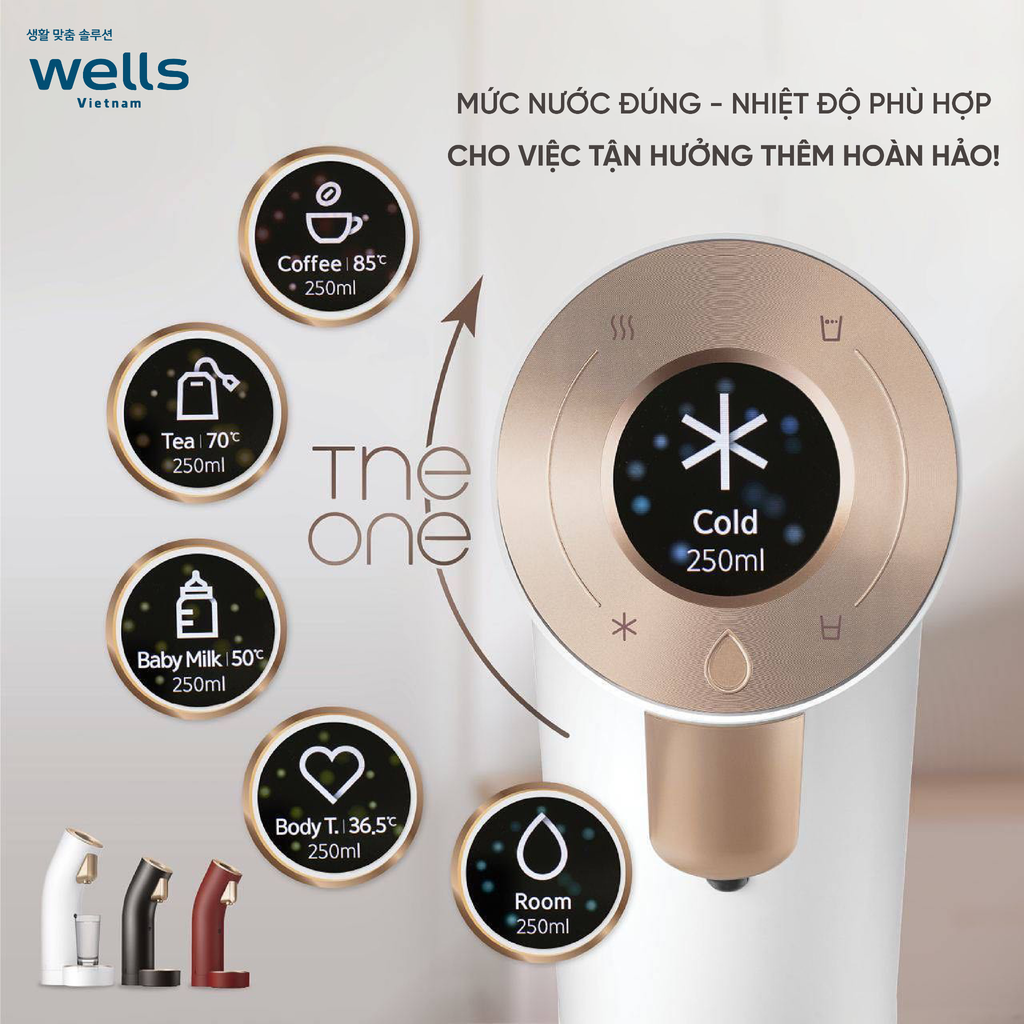 Máy lọc nước Wells The One