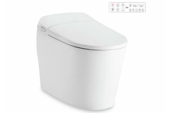 Bồn cầu điện tử American Standard WP-70DY