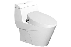 Bồn cầu một khối American Standard VF-2010S nắp rửa Slim