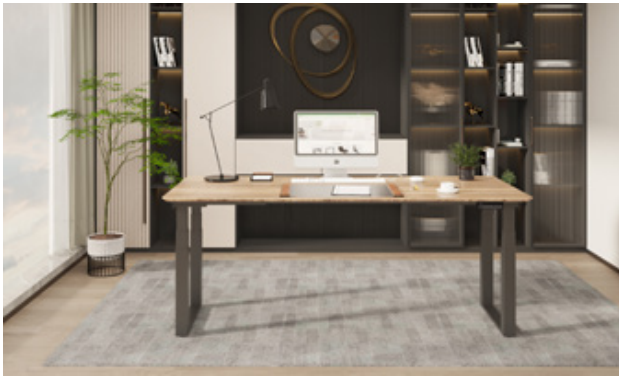 Phụ kiện bàn nâng hạ bằng điện IMUNDEX 7 520 402 4 động cơ điện