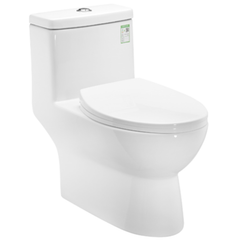 Bồn cầu một khối Moen SW3096C1